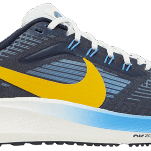 Nike Pegasus 39 'Obsidian'