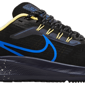 Nike Pegasus 39 'Royal'