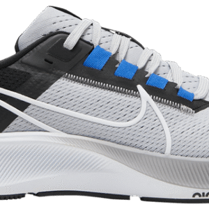 Nike Pegasus 39 'Wolf Grey'