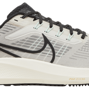 Nike Pegasus 39 'Bred'