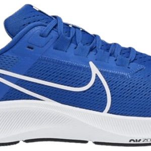 Nike Pegasus 38 'Royal'